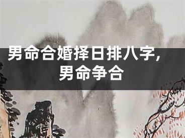 男命合婚择日排八字,男命争合