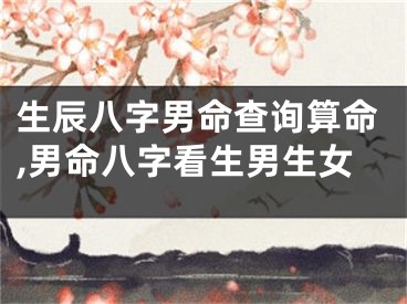 生辰八字男命查询算命,男命八字看生男生女