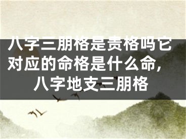 八字三朋格是贵格吗它对应的命格是什么命,八字地支三朋格