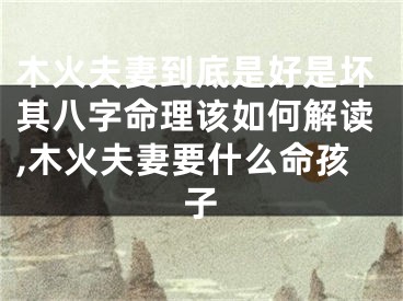 木火夫妻到底是好是坏其八字命理该如何解读,木火夫妻要什么命孩子