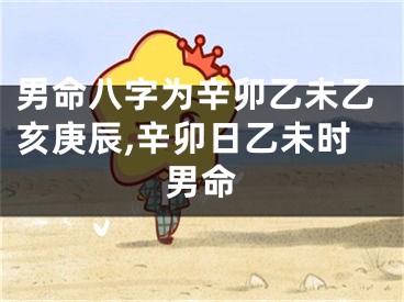 男命八字为辛卯乙未乙亥庚辰,辛卯日乙未时男命