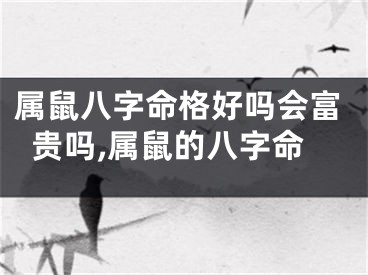 属鼠八字命格好吗会富贵吗,属鼠的八字命