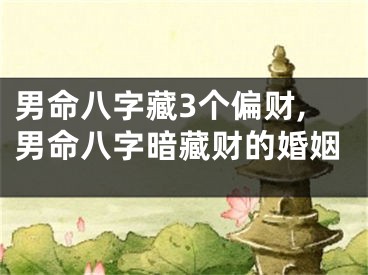 男命八字藏3个偏财,男命八字暗藏财的婚姻