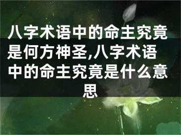八字术语中的命主究竟是何方神圣,八字术语中的命主究竟是什么意思