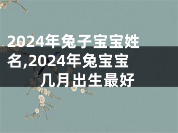 2024年兔子宝宝姓名,2024年兔宝宝几月出生最好