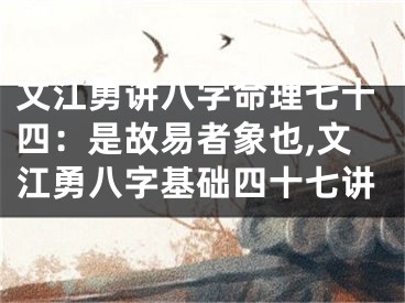 文江勇讲八字命理七十四：是故易者象也,文江勇八字基础四十七讲