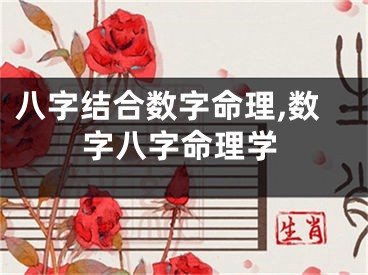 八字结合数字命理,数字八字命理学