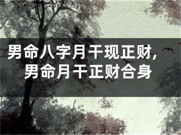 男命八字月干现正财,男命月干正财合身
