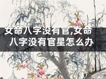 女命八字没有官,女命八字没有官星怎么办