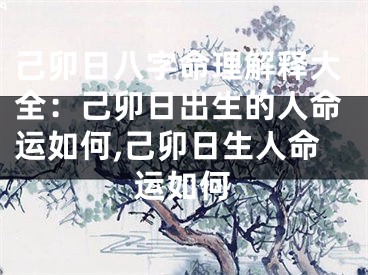 己卯日八字命理解释大全：己卯日出生的人命运如何,己卯日生人命运如何