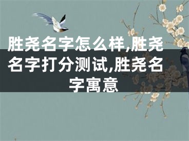 胜尧名字怎么样,胜尧名字打分测试,胜尧名字寓意