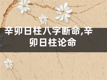辛卯日柱八字断命,辛卯日柱论命