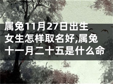属兔11月27日出生女生怎样取名好,属兔十一月二十五是什么命