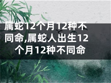 属蛇12个月12种不同命,属蛇人出生12个月12种不同命