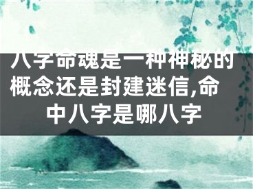 八字命魂是一种神秘的概念还是封建迷信,命中八字是哪八字
