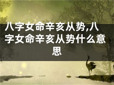 八字女命辛亥从势,八字女命辛亥从势什么意思