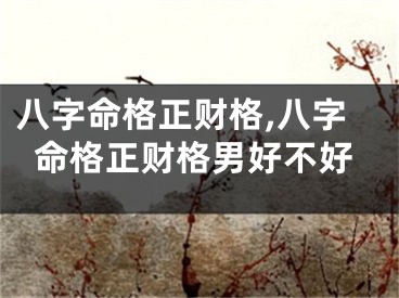 八字命格正财格,八字命格正财格男好不好