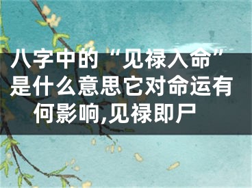 八字中的“见禄入命”是什么意思它对命运有何影响,见禄即尸