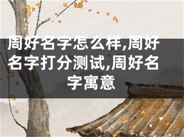 周好名字怎么样,周好名字打分测试,周好名字寓意