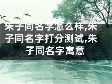 朱子同名字怎么样,朱子同名字打分测试,朱子同名字寓意