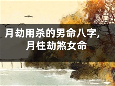 月劫用杀的男命八字,月柱劫煞女命
