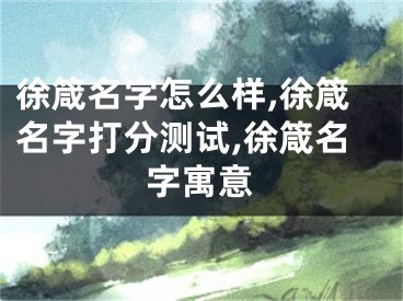 徐箴名字怎么样,徐箴名字打分测试,徐箴名字寓意