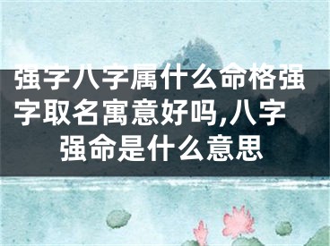 强字八字属什么命格强字取名寓意好吗,八字强命是什么意思