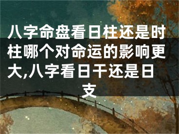 八字命盘看日柱还是时柱哪个对命运的影响更大,八字看日干还是日支