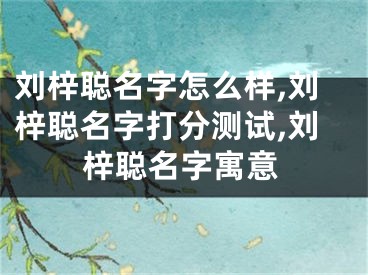 刘梓聪名字怎么样,刘梓聪名字打分测试,刘梓聪名字寓意