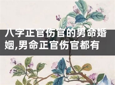 八字正官伤官的男命婚姻,男命正官伤官都有