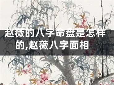 赵薇的八字命盘是怎样的,赵薇八字面相