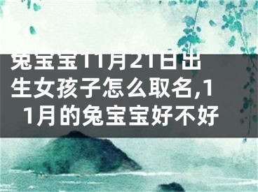 兔宝宝11月21日出生女孩子怎么取名,11月的兔宝宝好不好