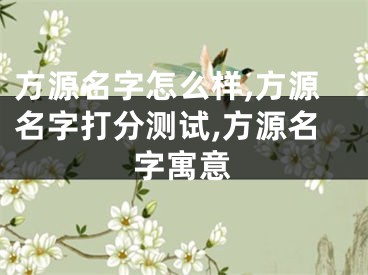方源名字怎么样,方源名字打分测试,方源名字寓意