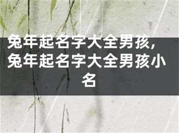 兔年起名字大全男孩,兔年起名字大全男孩小名