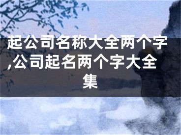 起公司名称大全两个字,公司起名两个字大全集