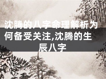 沈腾的八字命理解析为何备受关注,沈腾的生辰八字