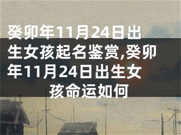 癸卯年11月24日出生女孩起名鉴赏,癸卯年11月24日出生女孩命运如何