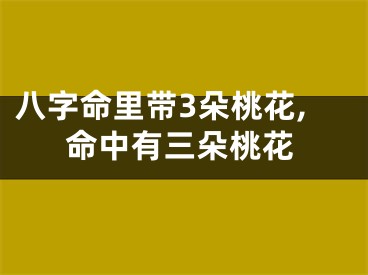 八字命里带3朵桃花,命中有三朵桃花
