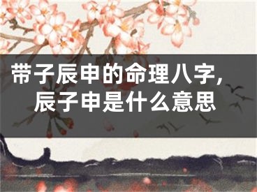 带子辰申的命理八字,辰子申是什么意思