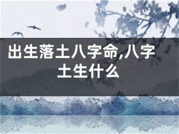 出生落土八字命,八字土生什么