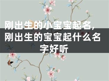 刚出生的小宝宝起名,刚出生的宝宝起什么名字好听
