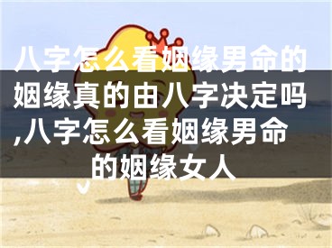 八字怎么看姻缘男命的姻缘真的由八字决定吗,八字怎么看姻缘男命的姻缘女人