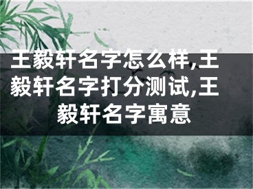 王毅轩名字怎么样,王毅轩名字打分测试,王毅轩名字寓意