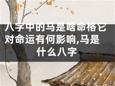八字中的马是啥命格它对命运有何影响,马是什么八字