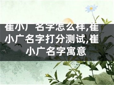 崔小广名字怎么样,崔小广名字打分测试,崔小广名字寓意