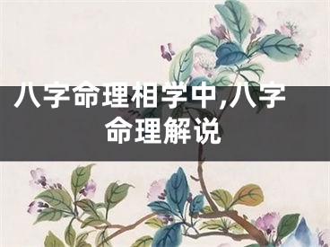 八字命理相学中,八字命理解说