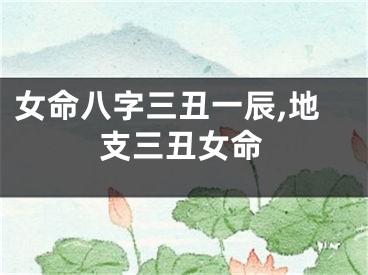 女命八字三丑一辰,地支三丑女命