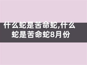 什么蛇是苦命蛇,什么蛇是苦命蛇8月份