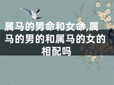 属马的男命和女命,属马的男的和属马的女的相配吗