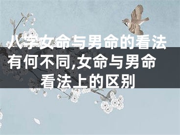 八字女命与男命的看法有何不同,女命与男命看法上的区别